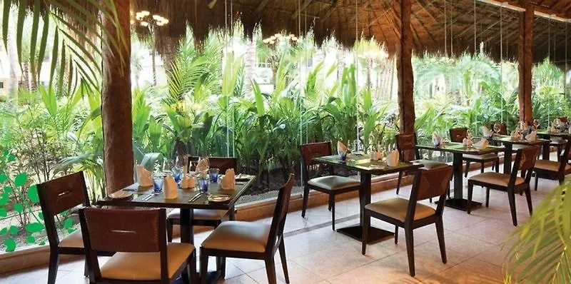 El Dorado Seaside Suites Catamaran, Cenote & More Inclusive (Adults Only) Xpu Ha